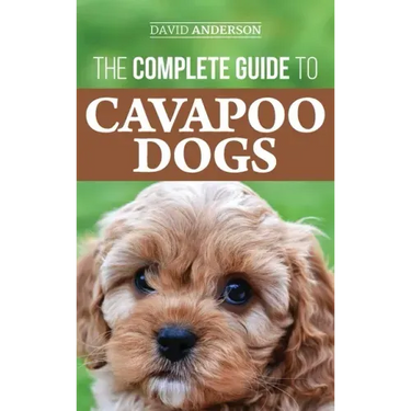 The Complete Guide to Cavapoo Dogs: Everything you need to know to successfully raise and train your new Cavapoo puppy