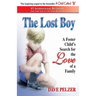 The Lost Boy: A Foster Child's Search for the Love of a Family