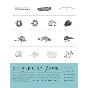 Origins of Form: The Shape of Natural and Man-made Things-Why They Came to Be the Way They Are and How They Change