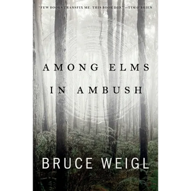 Among Elms, in Ambush