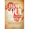 Finding Soul from Silicon Valley to Africa: A Travel Memoir and Personal Journey Through Twenty Countries in Africa