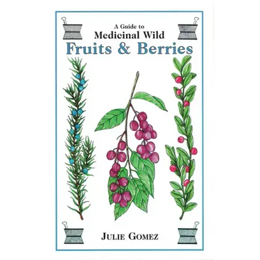 Guide to Medicinal Wild Fruits & Berries