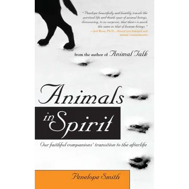 Animals in Spirit: Our Faithful Companions' Transition to the Afterlife