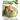 Matcha Luxury Recipes Cookbook: Luxury Recipe Collestion With Matcha Green Tea Powder