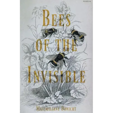 Bees of the Invisible