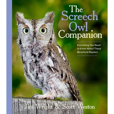 The Screech Owl Companion: Everything You Need to Know about These Beneficial Raptors
