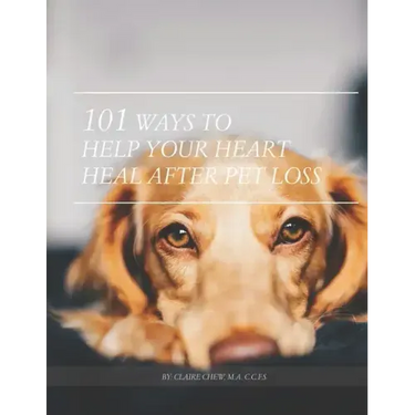 101 Ways To Help Your Heart Heal After Pet Loss