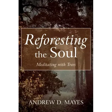 Reforesting the Soul: Meditating with Trees
