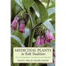Medicinal Plants in Folk Tradition: An Ethnobotany of Britain & Ireland