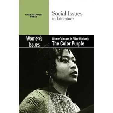 Women's Issues in Alice Walker's the Color Purple