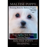 Maltese Puppy Training Book for Maltese Puppies By D!G THIS DOG Training, From the Car Ride Home Training Begins, Maltese Puppy Training