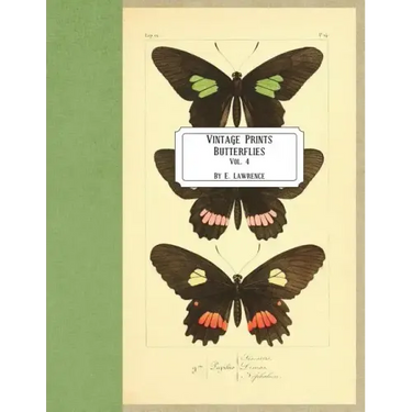 Vintage Prints: Butterflies: Vol. 4