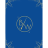 Birth Wizard's VBAC Wizard Training Manual: VBAC Wizard Training Manual