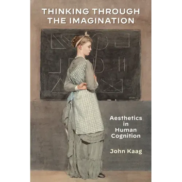 Thinking Through the Imagination: Aesthetics in Human Cognition