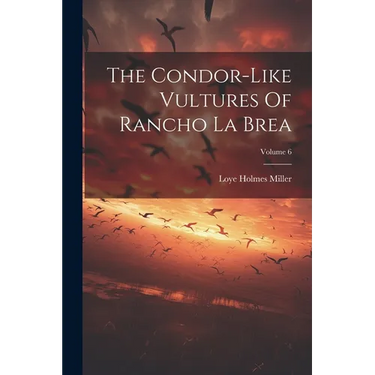 The Condor-like Vultures Of Rancho La Brea; Volume 6