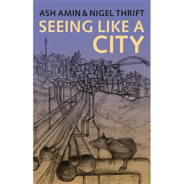 Seeing Like a City