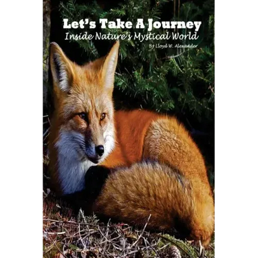 Let's Take A Journey: Inside Nature's Mystical World