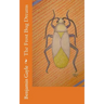 The Frost Bug Dreams