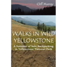 Walks in Wild Yellowstone: A Summer of Solo Backpacking in Yellowstone National Park