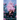 Beyond The Roses