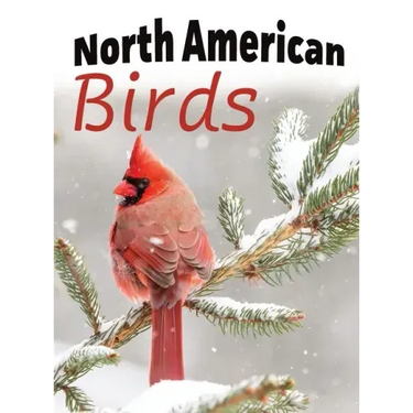 North American Birds