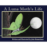 A Luna Moth's Life