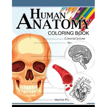 Human Anatomy Coloring Book: Anatomy & Physiology Coloring Book 3rd Edtion