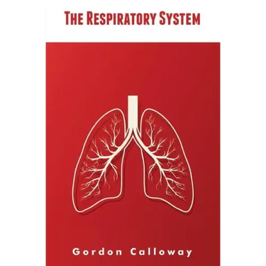 The Respiratory System