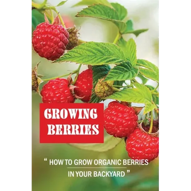 Growing Berries: How To Grow Organic Berries In Your Backyard: How To Start Growing Berries