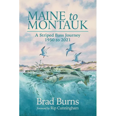 Maine to Montauk: A Striped Bass Journey 1950 to 2021
