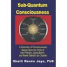 Sub-Quantum Consciousness: A Geometry of Consciousness Based Upon the Work of Karl Pribram, David Bohm, and Pierre Teilhard De Chardin