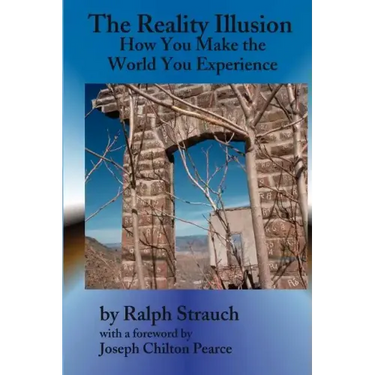 The Reality Illusion: How You Make The World You Experience