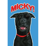 Micky!
