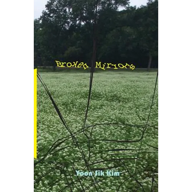 Broken Mirrors