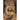 House of Flame and Shadow