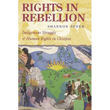 Rights in Rebellion: Indigenous Struggle and Human Rights in Chiapas