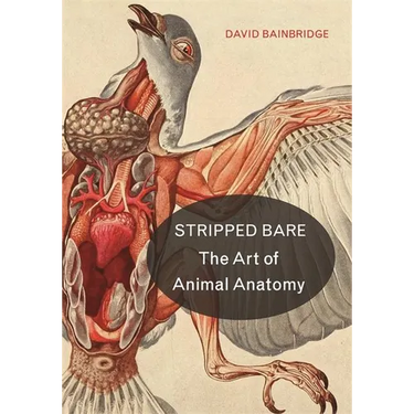 Stripped Bare: The Art of Animal Anatomy