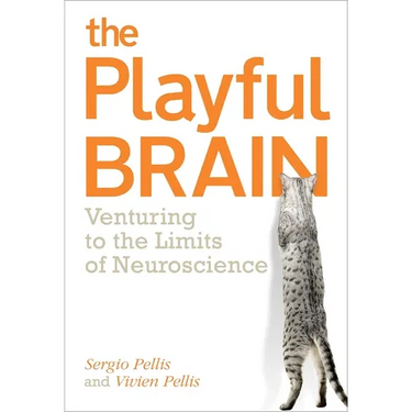 Playful Brain: Venturing to the Limits of Neuroscience