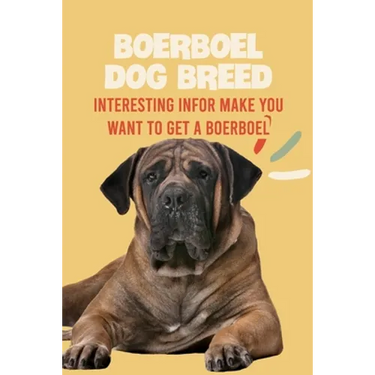 Boerboel Dog Breed: Interesting Infor Make You Want to Get a Boerboel: Boerboel Dog Breed Characteristics, Appearance, History