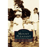 Mount Pleasant: The Victorian Village