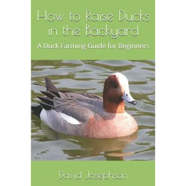 How to Raise Ducks in the Backyard: A Duck Farming Guide for Beginners