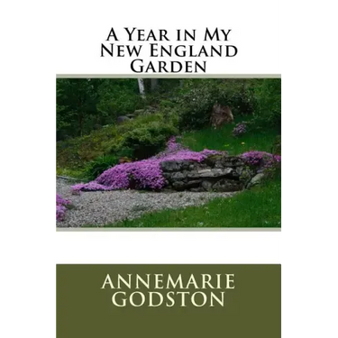 A Year in My New England Garden: A Year in My New England Garden