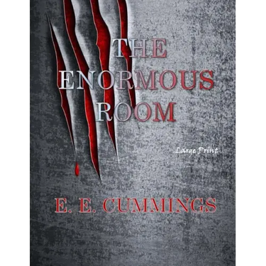 The Enormous Room: Large Print