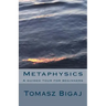 Metaphysics: A guided tour for beginners