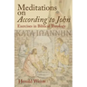 Meditations on According to John: Exercises in Biblical Theology