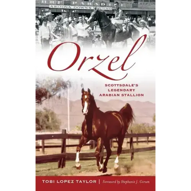 Orzel: Scottsdale's Legendary Arabian Stallion