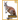 Kangaroo
