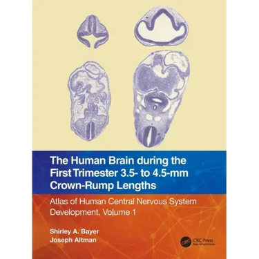 The Human Brain During the First Trimester 3.5- To 4.5-MM Crown-Rump Lengths: Atlas of Human Central Nervous System Development, Volume 1