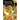 Treasure of the Gold Dragon: A Branches Book (Dragon Masters #12): Volume 12