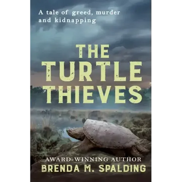 The Turtle Thieves